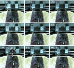 挖掘足生物几何材料特性研究及农机部件仿生减阻设计